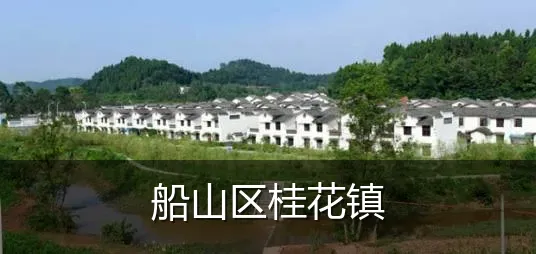 船山区桂花镇